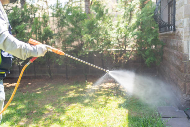 Best Organic or Eco-Friendly Pest Control  in Madison, NC